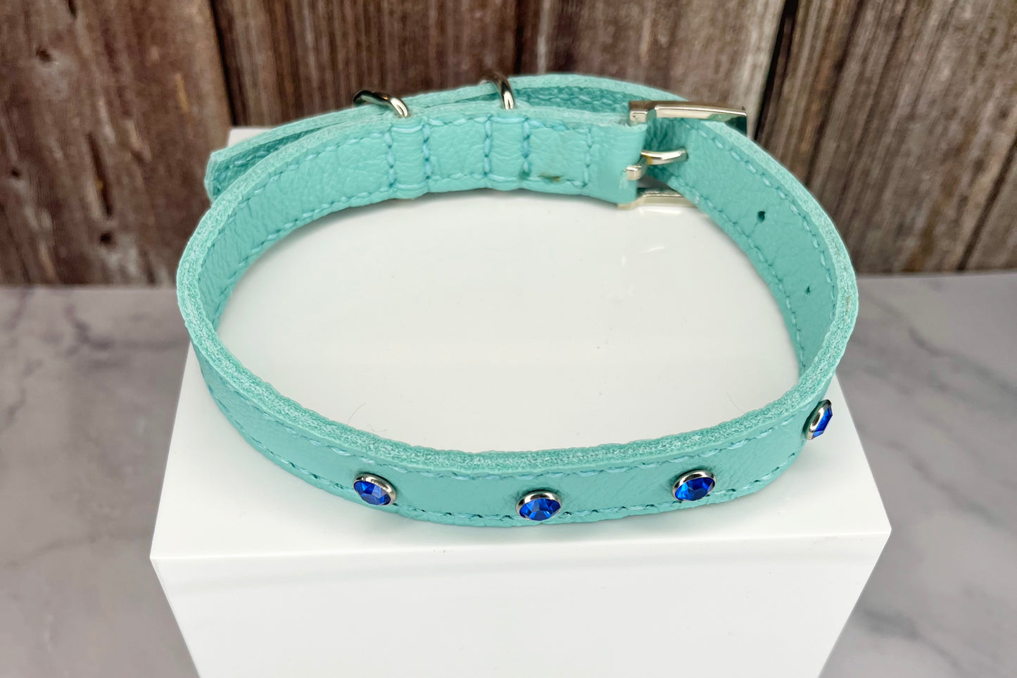 Medium Aqua Green Collar with Royal Blue Diamantes