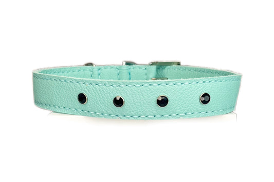 Large Aqua Green Collar with Black Diamantes