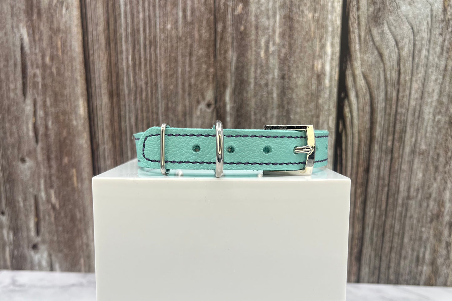Aqua Green Leather Collar with Violet Rivets