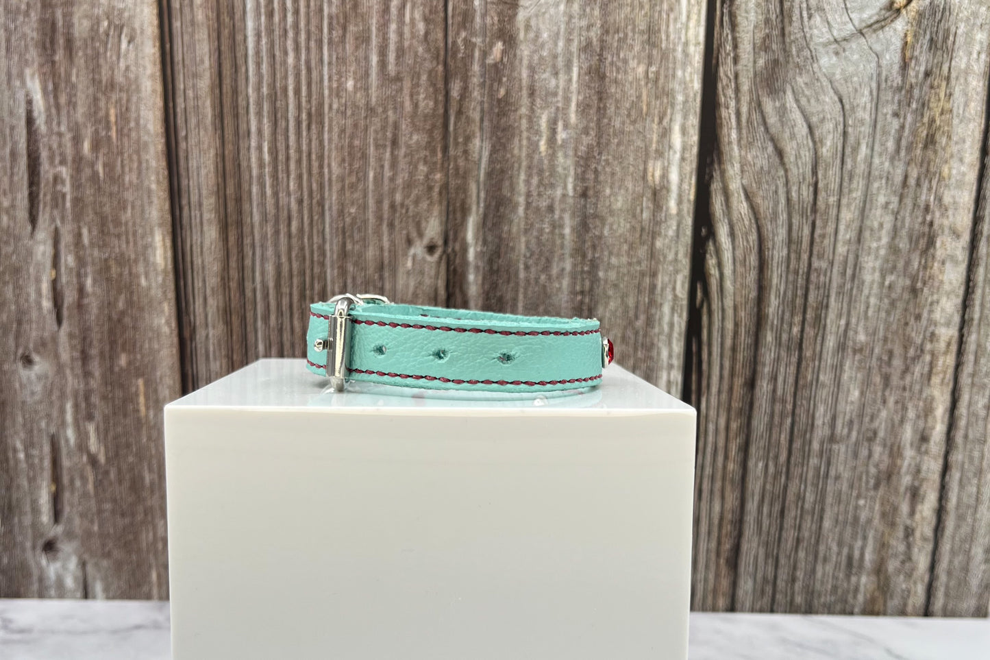 Aqua Green Leather Collar with Red gem rivets