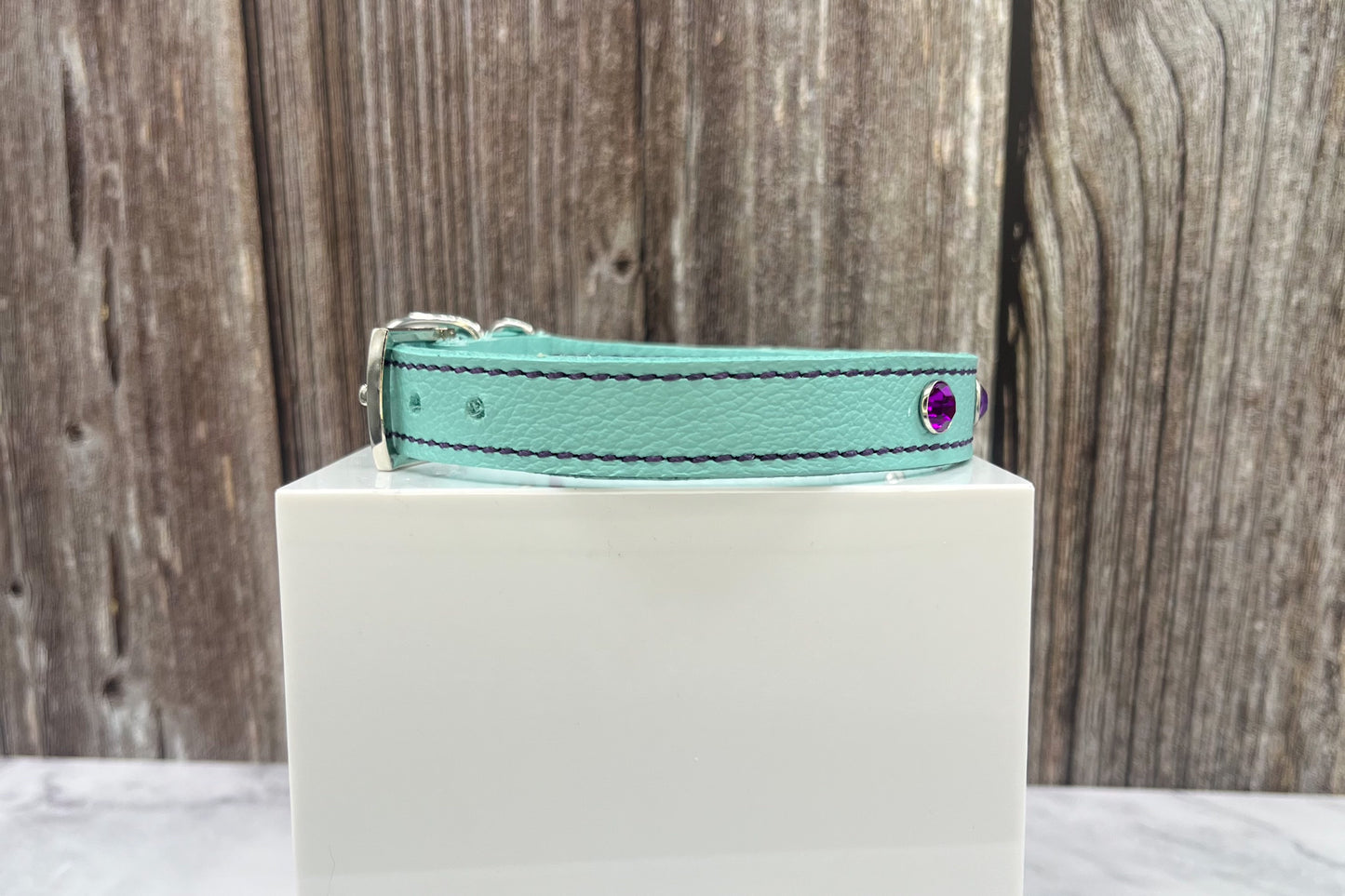 Aqua Green Leather Collar with Violet Rivets