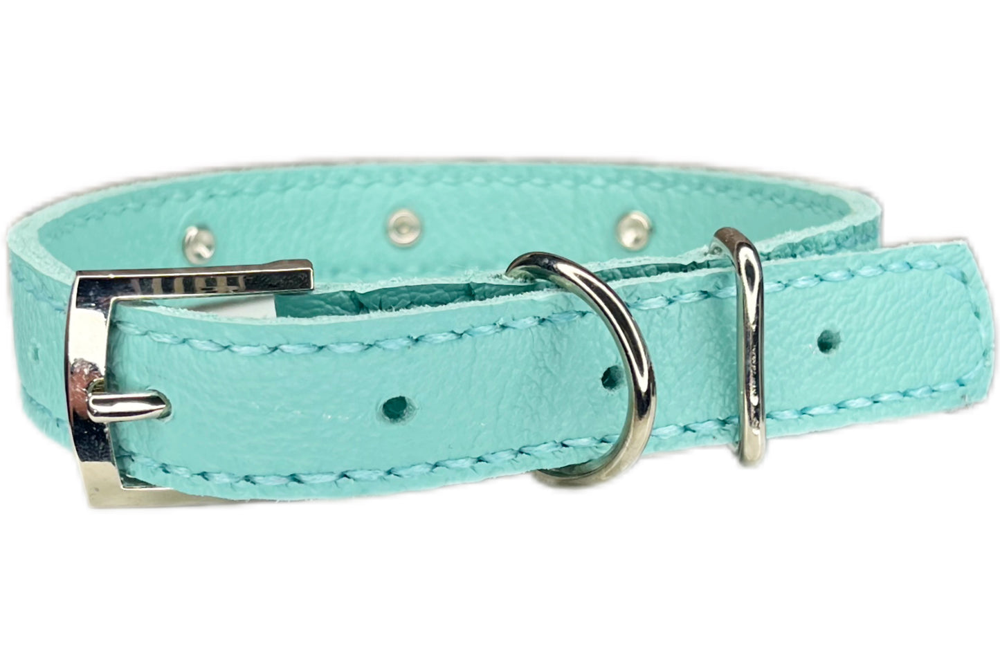 Medium Aqua Green Collar, Midnight Blue Diamantes