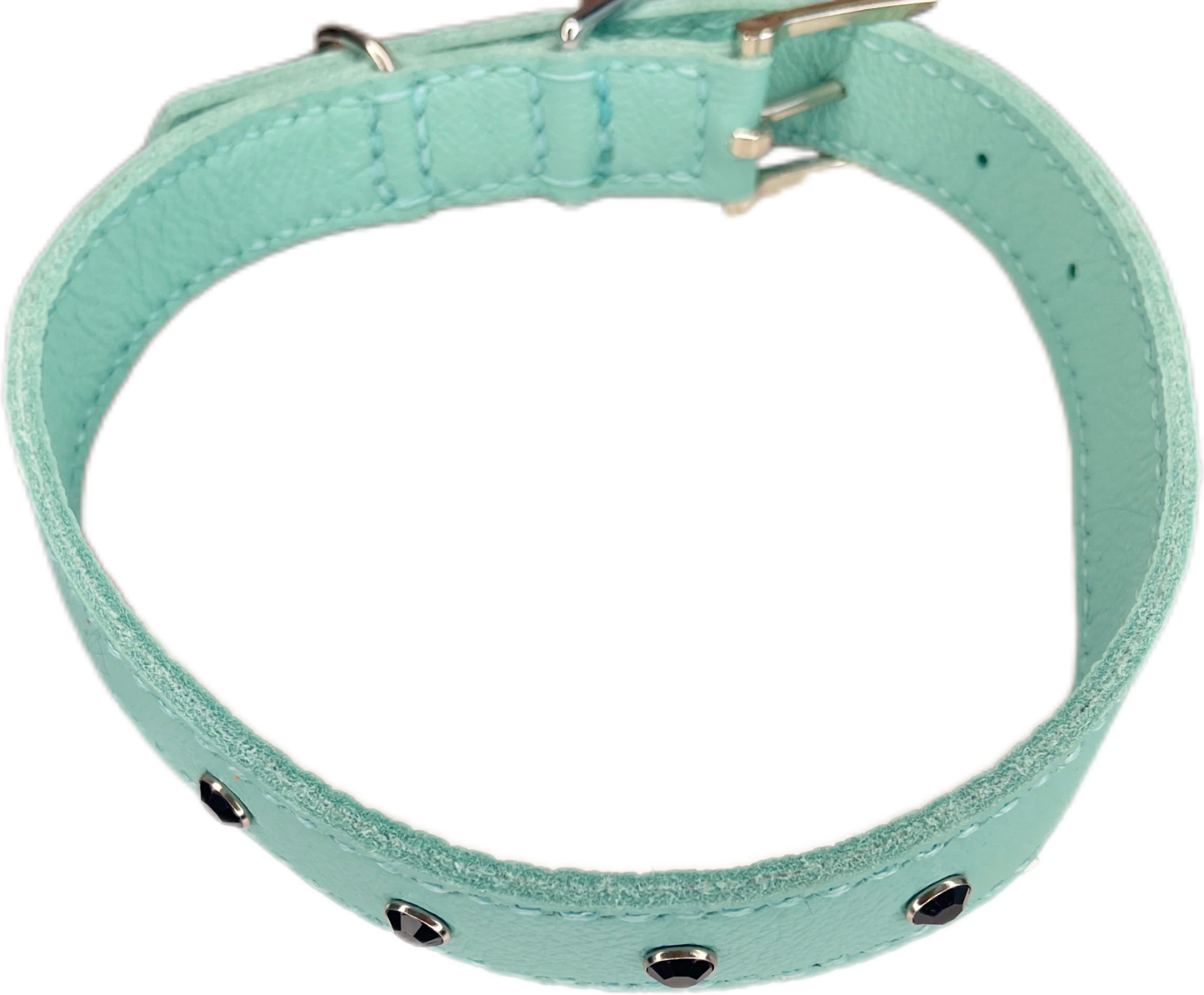 Large Aqua Green Collar with Black Diamantes