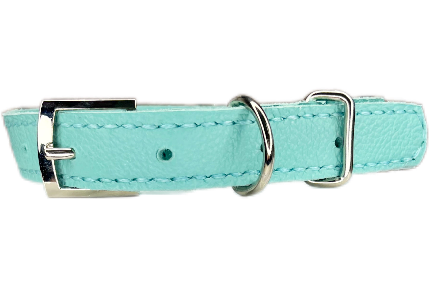 Medium Aqua Green Collar with Royal Blue Diamantes