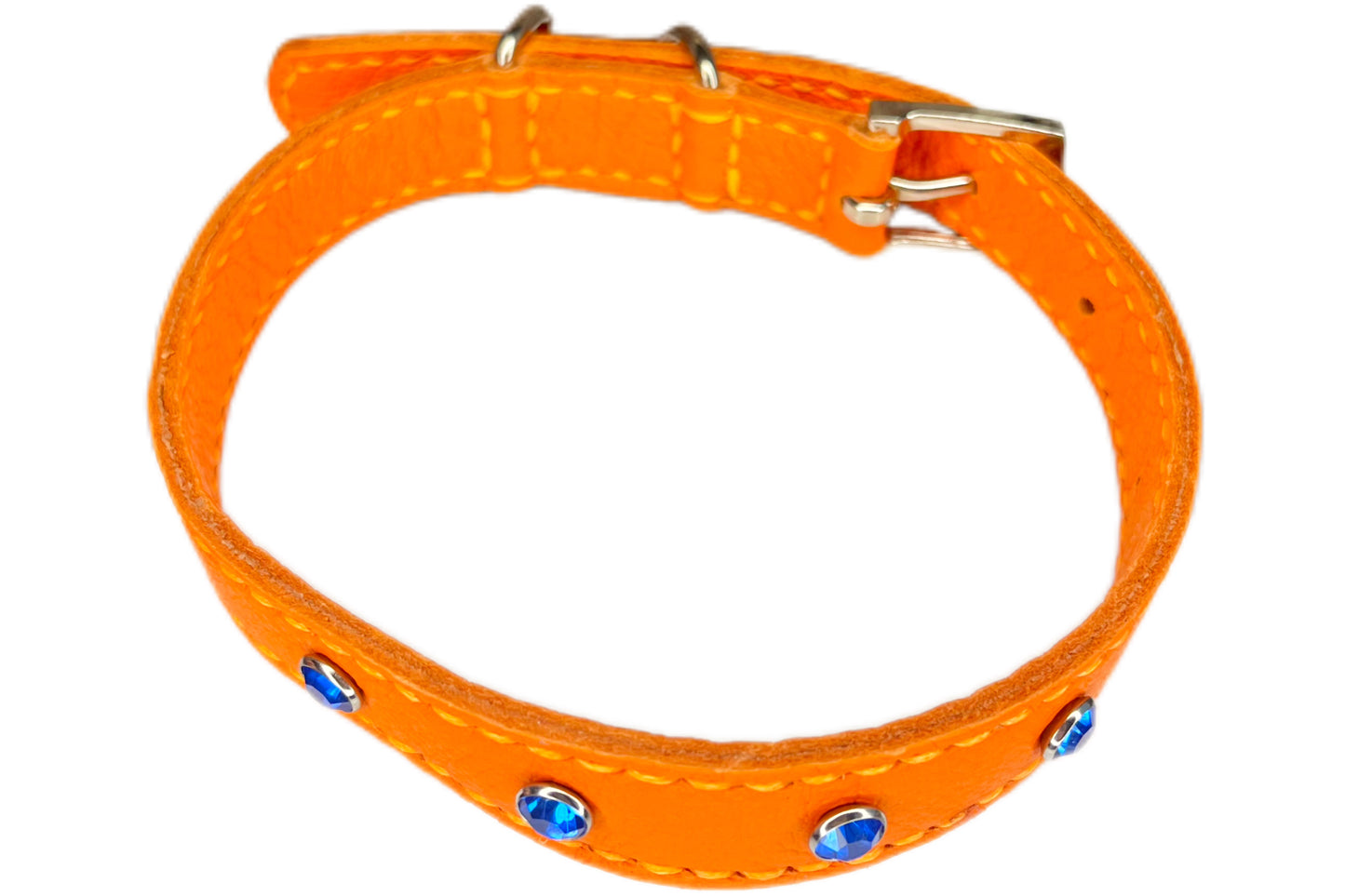 Medium Orange Collar with Royal Blue Diamante