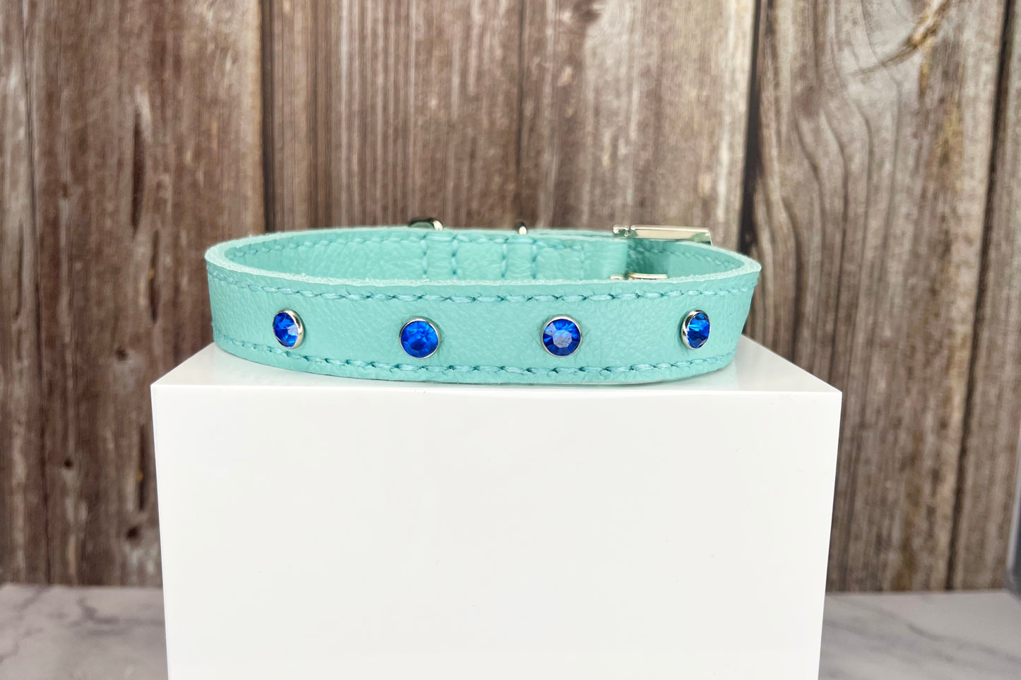 Medium Aqua Green Collar with Royal Blue Diamantes