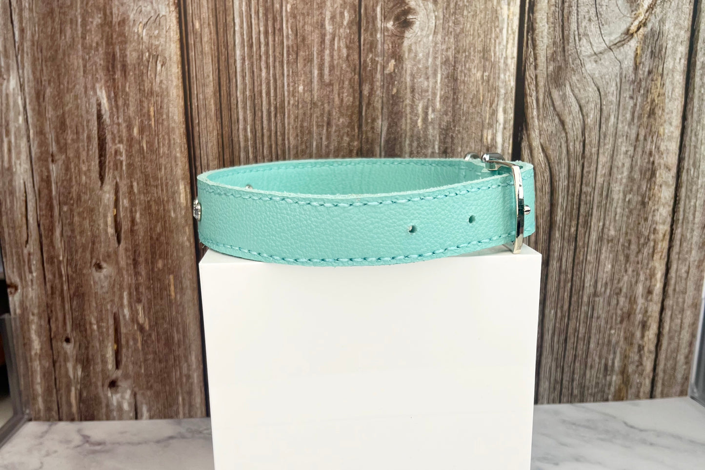 Large Aqua Green Collar with Clear Diamantes