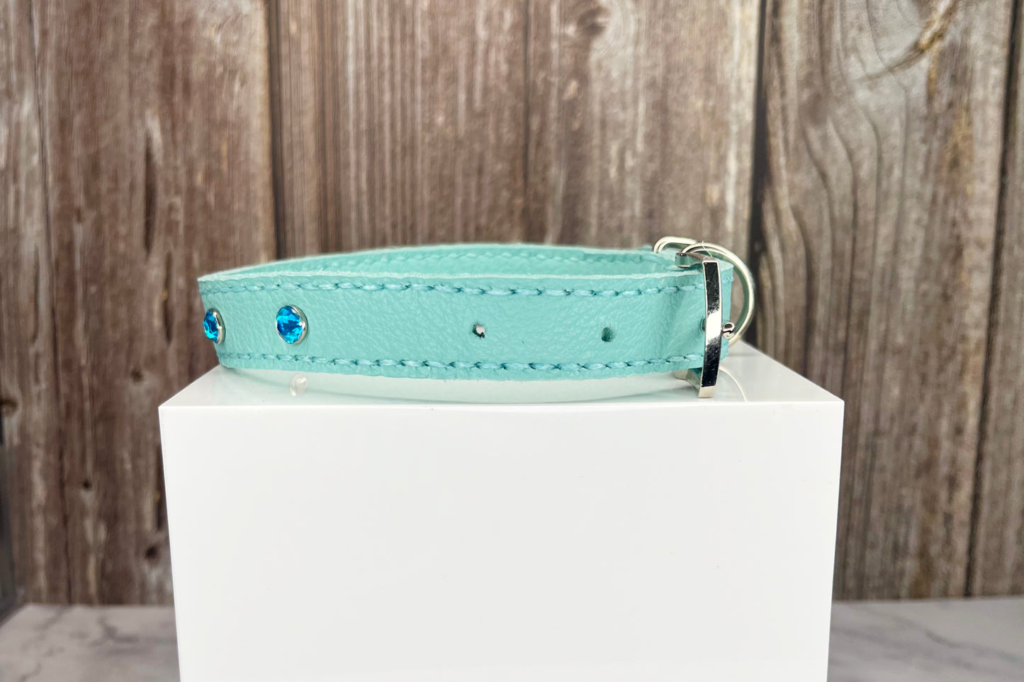 Medium Aqua Green Collar with Turquoise Diamantes
