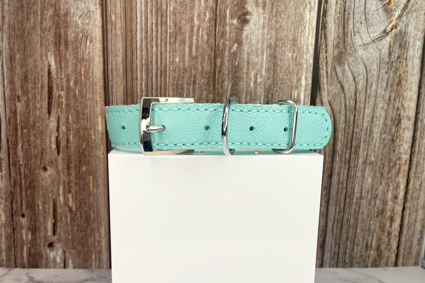 Large Aqua Green Collar with Black Diamantes