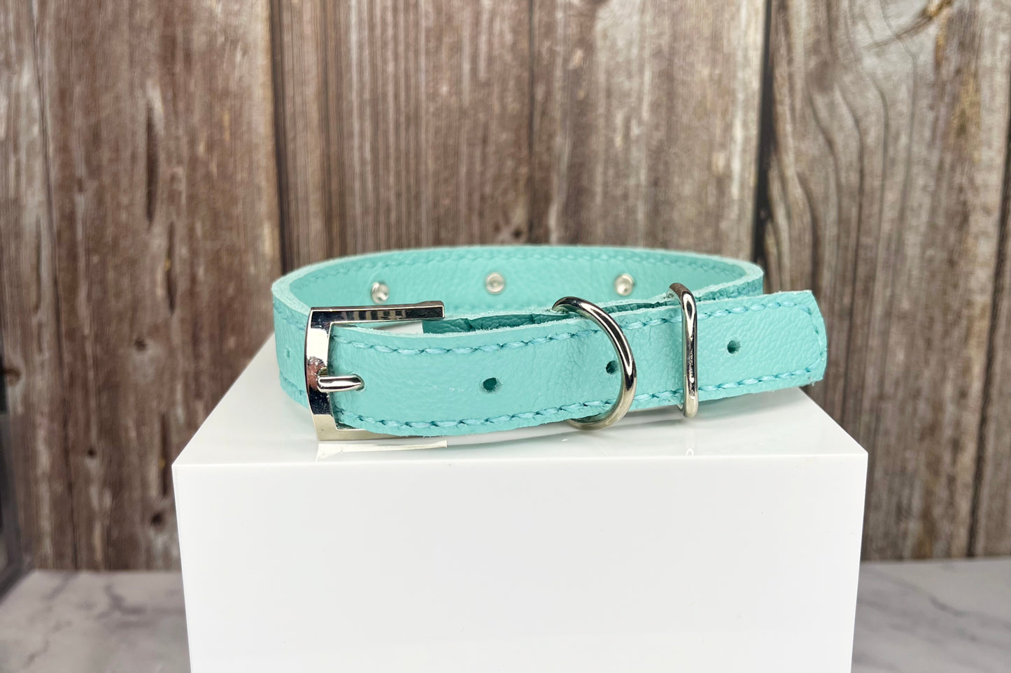 Medium Aqua Green Collar, Midnight Blue Diamantes
