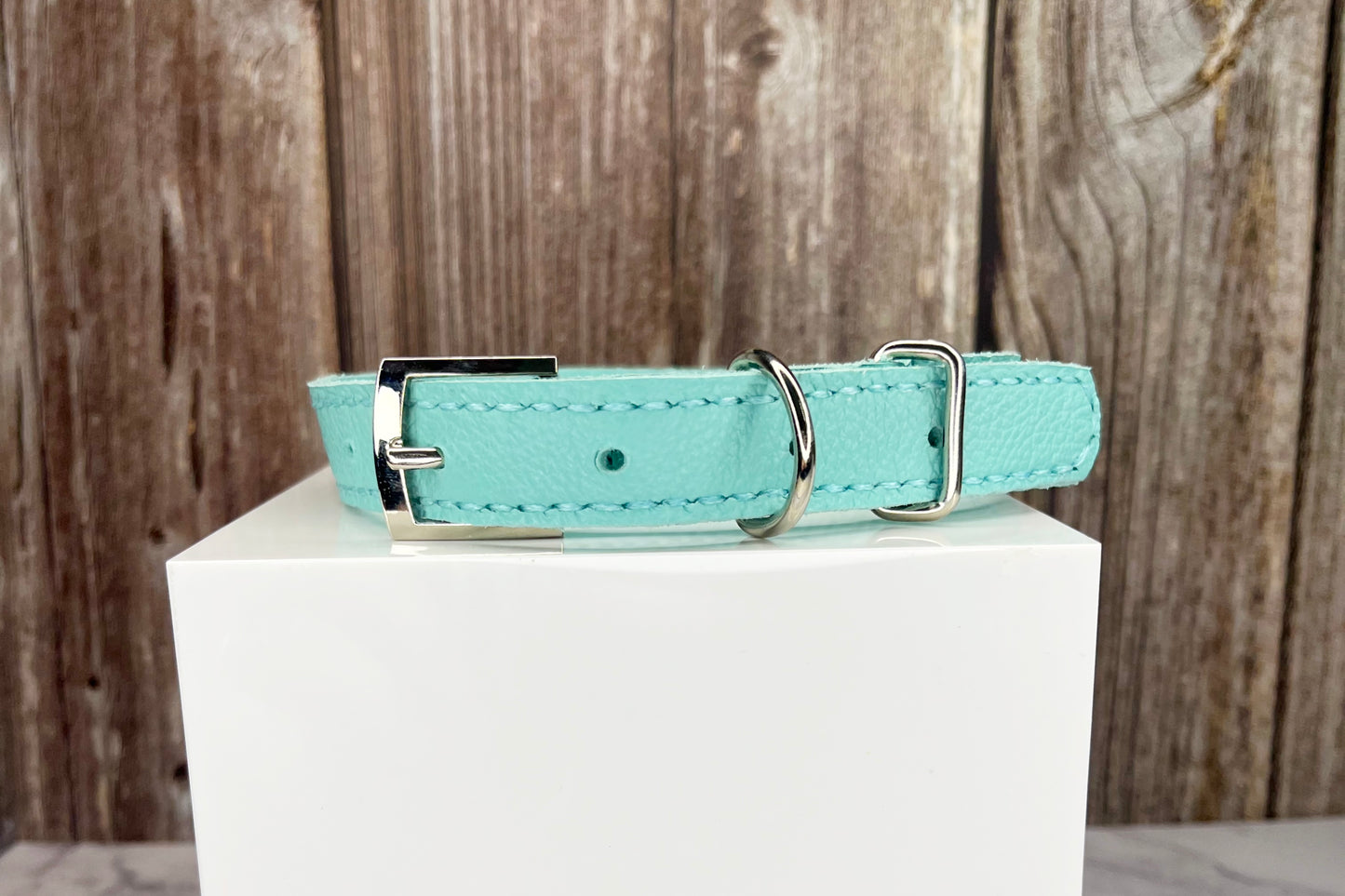 Medium Aqua Green Collar with Royal Blue Diamantes