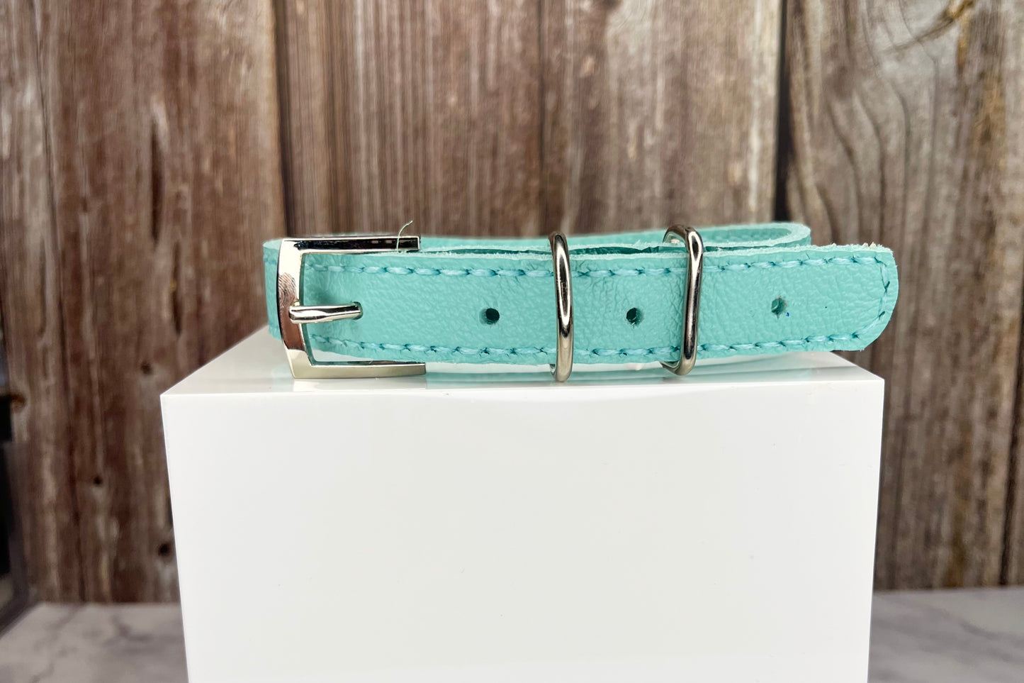 Medium Aqua Green Collar with Turquoise Diamantes