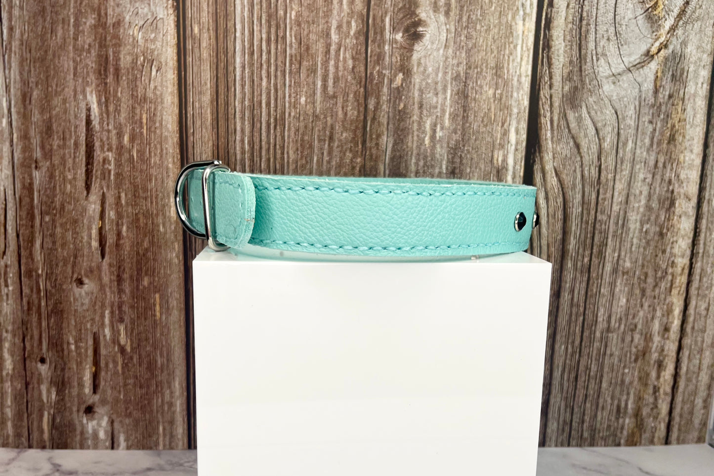 Large Aqua Green Collar with Black Diamantes