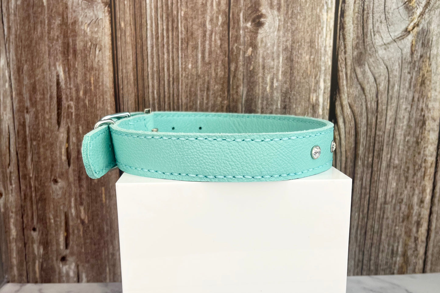 Large Aqua Green Collar with Clear Diamantes