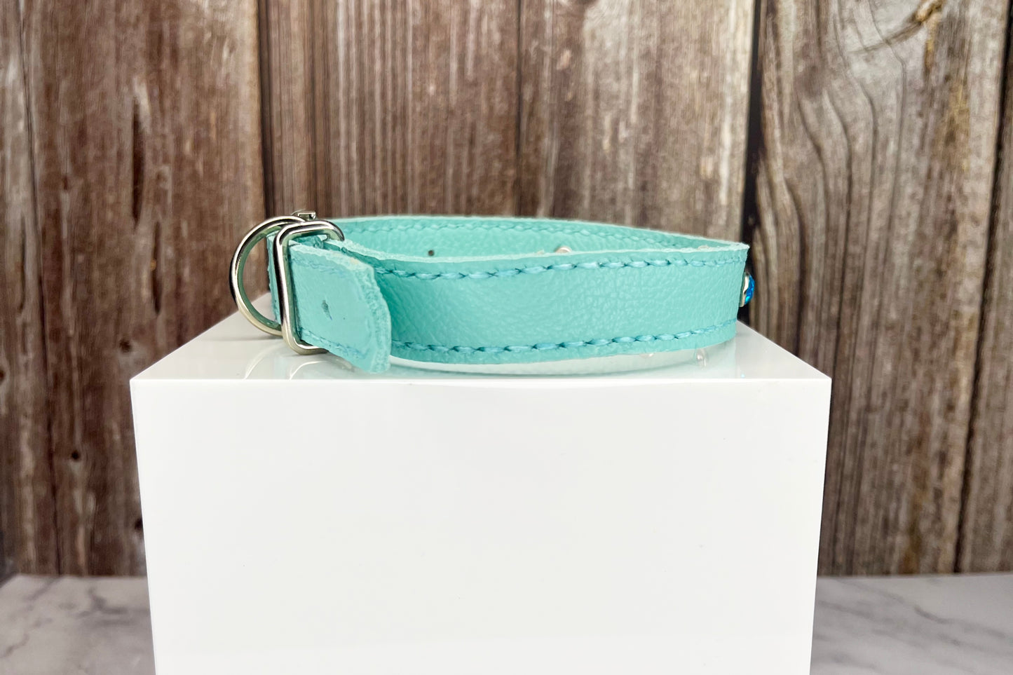 Medium Aqua Green Collar with Turquoise Diamantes
