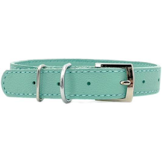 Large Aqua Green Leather Collar