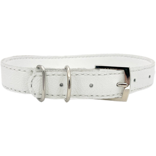 The Clssic Extra Large Collar