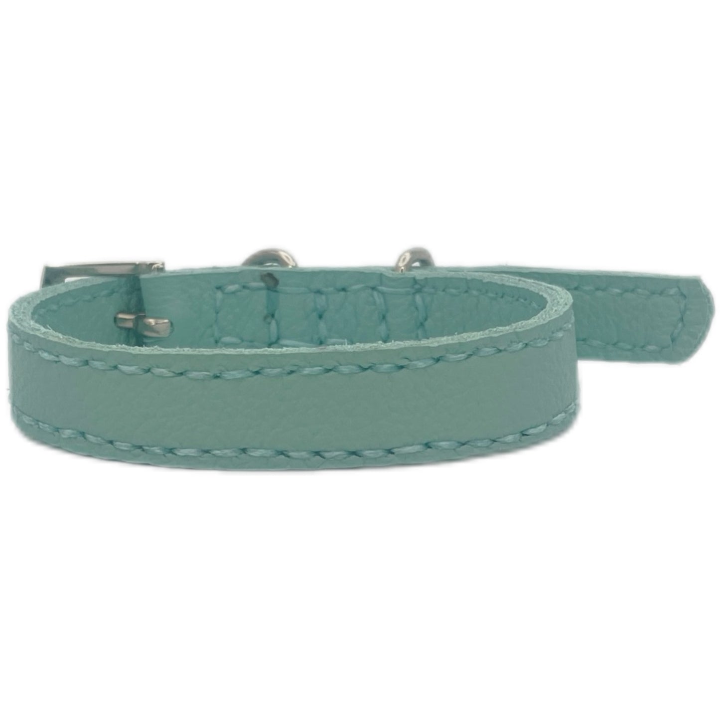 Small Aqua Green Collar