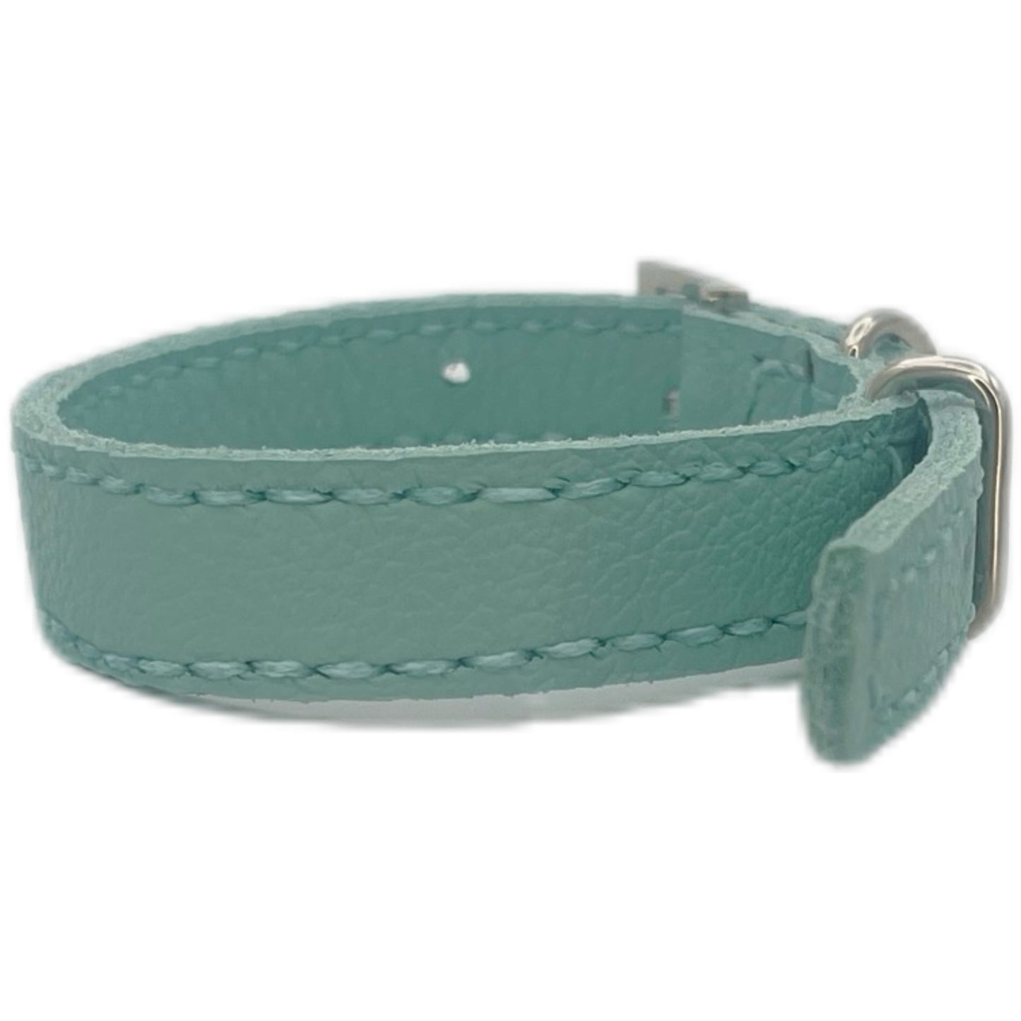 Small Aqua Green Collar